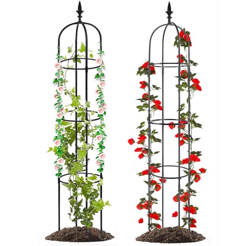 Sale! 2-Pack 69.3-Inch Tall Plant Climbing Iron Trellis. 50% Off With Coupon Code: 50MBPAQ3